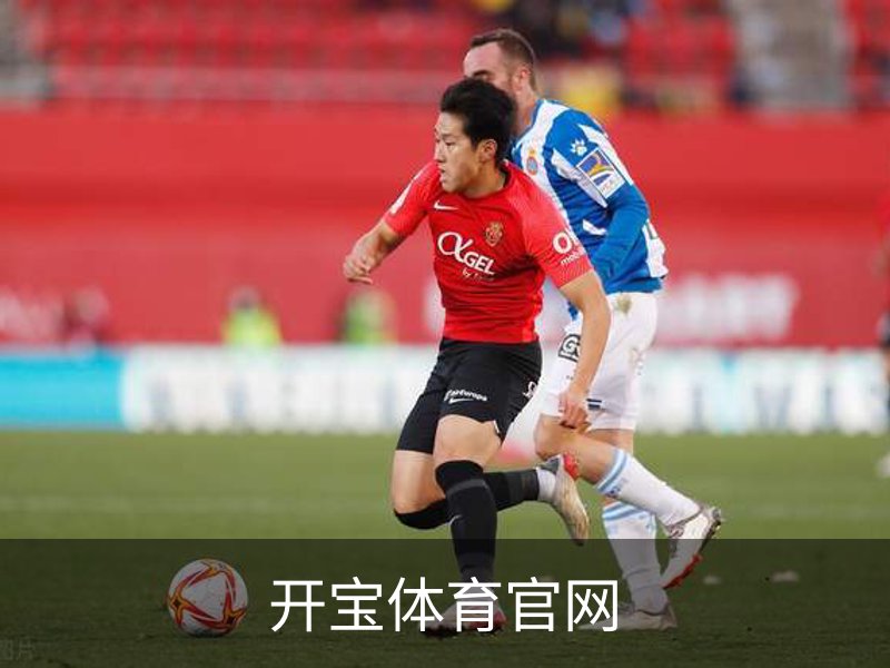 开宝体育官网简介